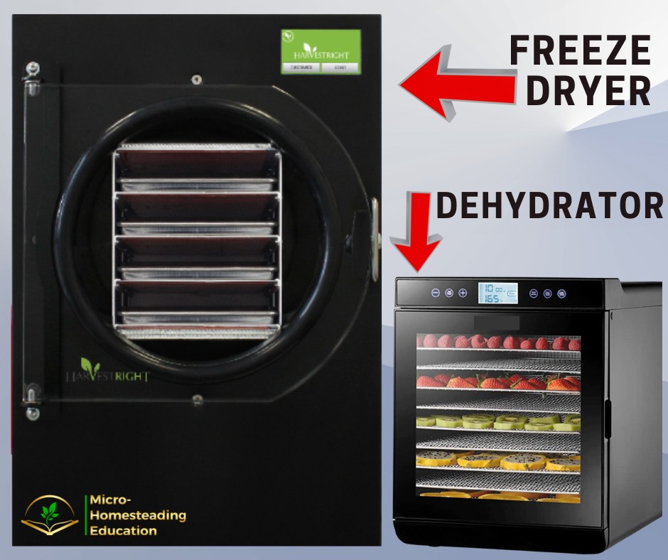 Freeze Drying vs Dehydrating Pros and Cons for Food Preservation